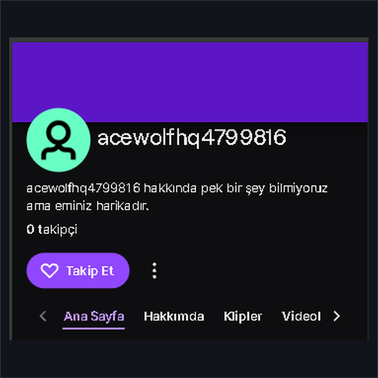 2026 Twitch Hesabı