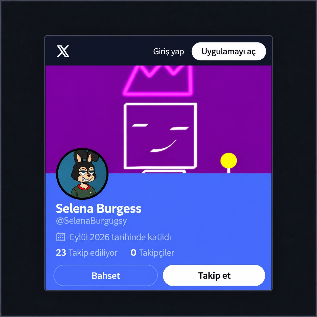 28+ Günlük Twitter Hesabı